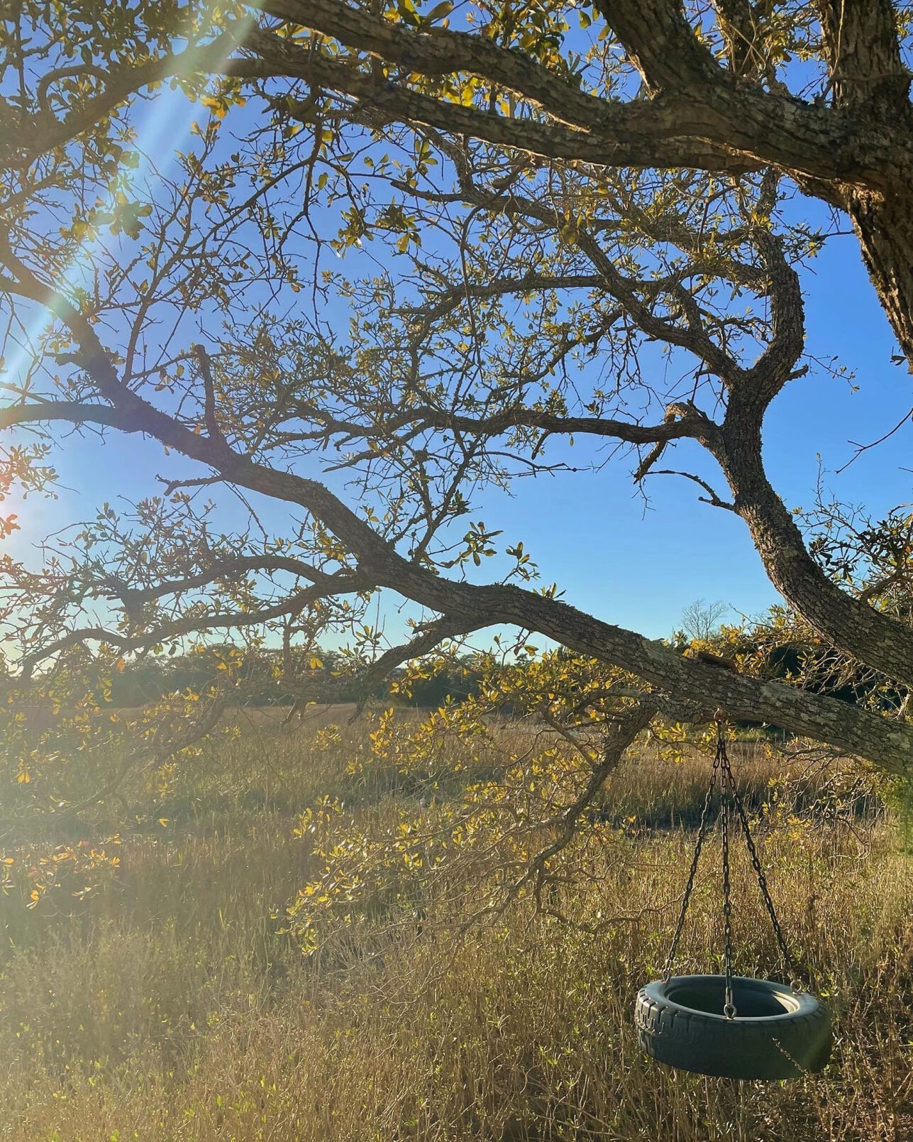 Swinging into Spring